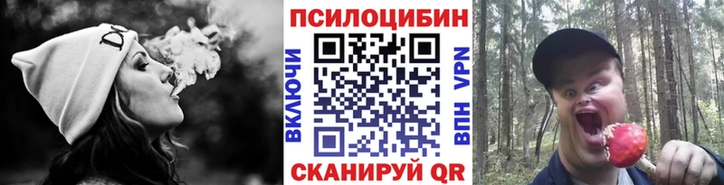 Галлюциногенные грибы Psilocybine cubensis  Сызрань 