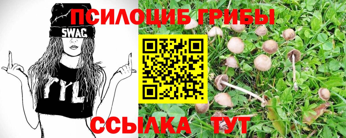 Галлюциногенные грибы GOLDEN TEACHER Сызрань